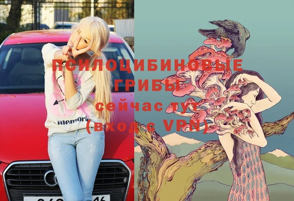 МДМА Богданович