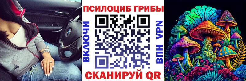 купить наркоту  Мосальск  Псилоцибиновые грибы прущие грибы 