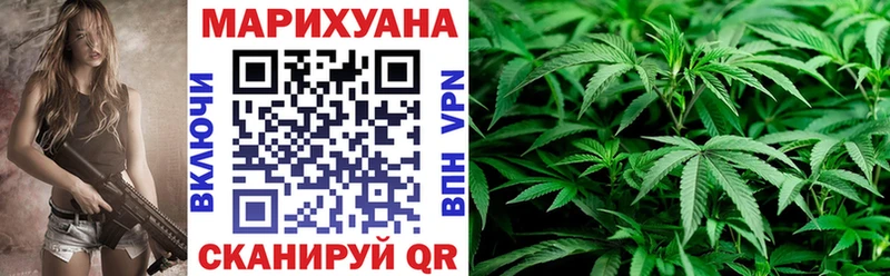 Бошки марихуана план Мосальск